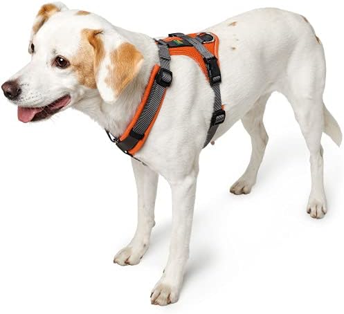 HUNTER Geschirr Maldon 34-49/XS Orange/Grau XS, Orange/Grau XS