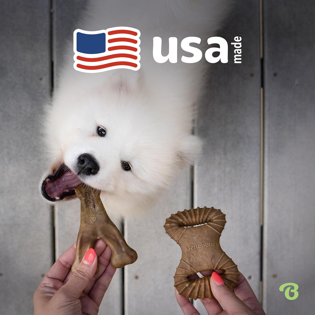 Benebone 2-Pack Indestructible Dental Chew/Wishbone for Aggressive Chewers, Long Lasting Tough Bored