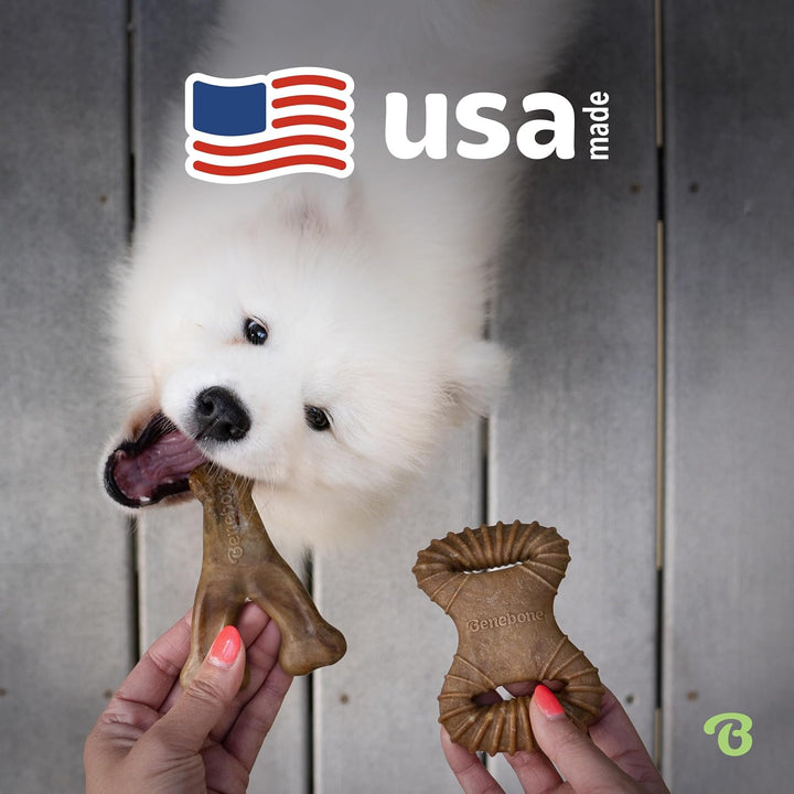 Benebone 2-Pack Indestructible Dental Chew/Wishbone for Aggressive Chewers, Long Lasting Tough Bored