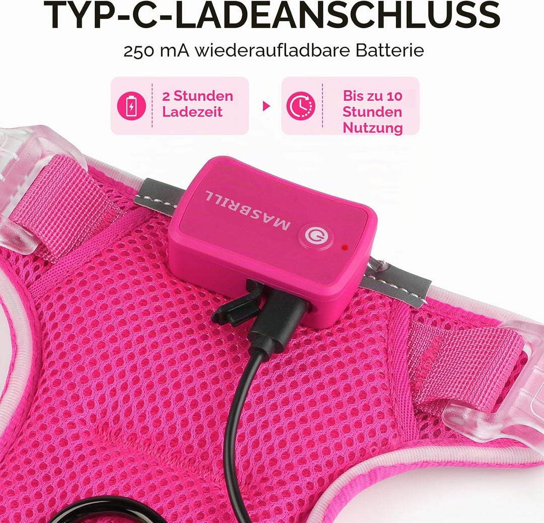 MASBRILL Hundegeschirr Leuchtend, LED Hundegeschirr Aufladbar &amp; Einstellbar für Welpen Kleiner Mittl