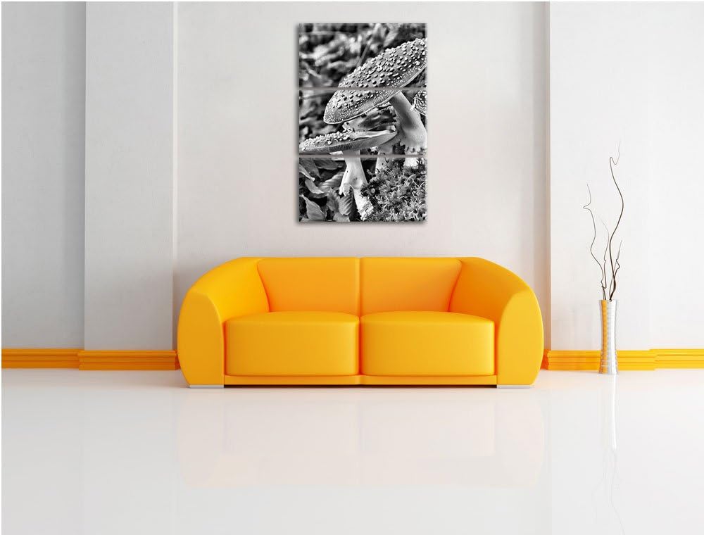 Pixxprint Monocrome, Vier Fliegenpilze auf Waldboden 3-Teiler Leinwandbild 120x80 Bild auf Leinwand