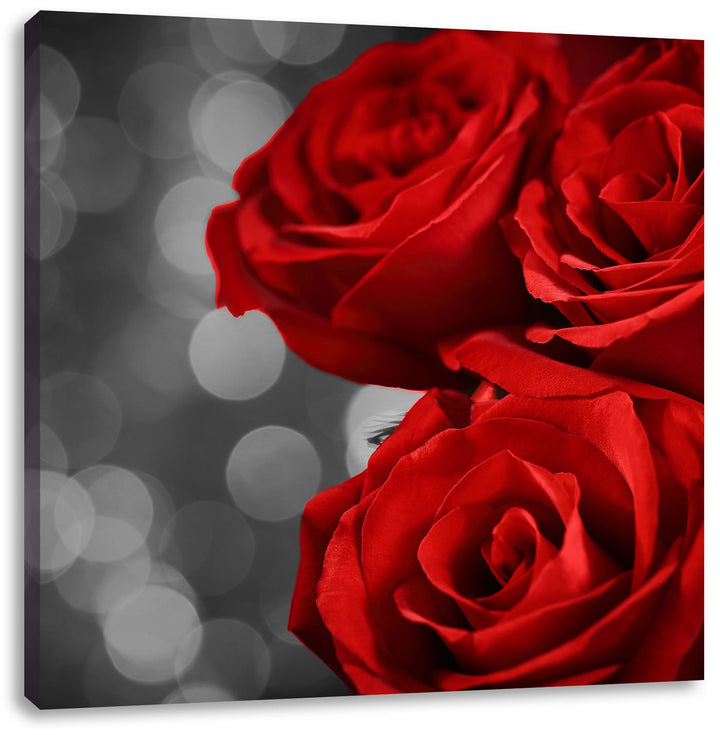 Pixxprint DREI rote Rosen / 70x70cm Leinwandbild bespannt auf Holzrahmen/Wandbild Kunstdruck Dekorat