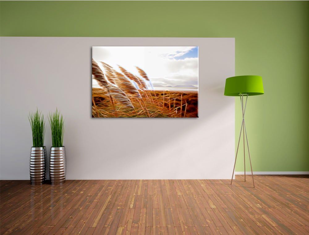 Schönes Schilf in den Dünen Deluxe Format: 100x70 cm auf Leinwand, XXL riesige Bilder fertig gerahmt