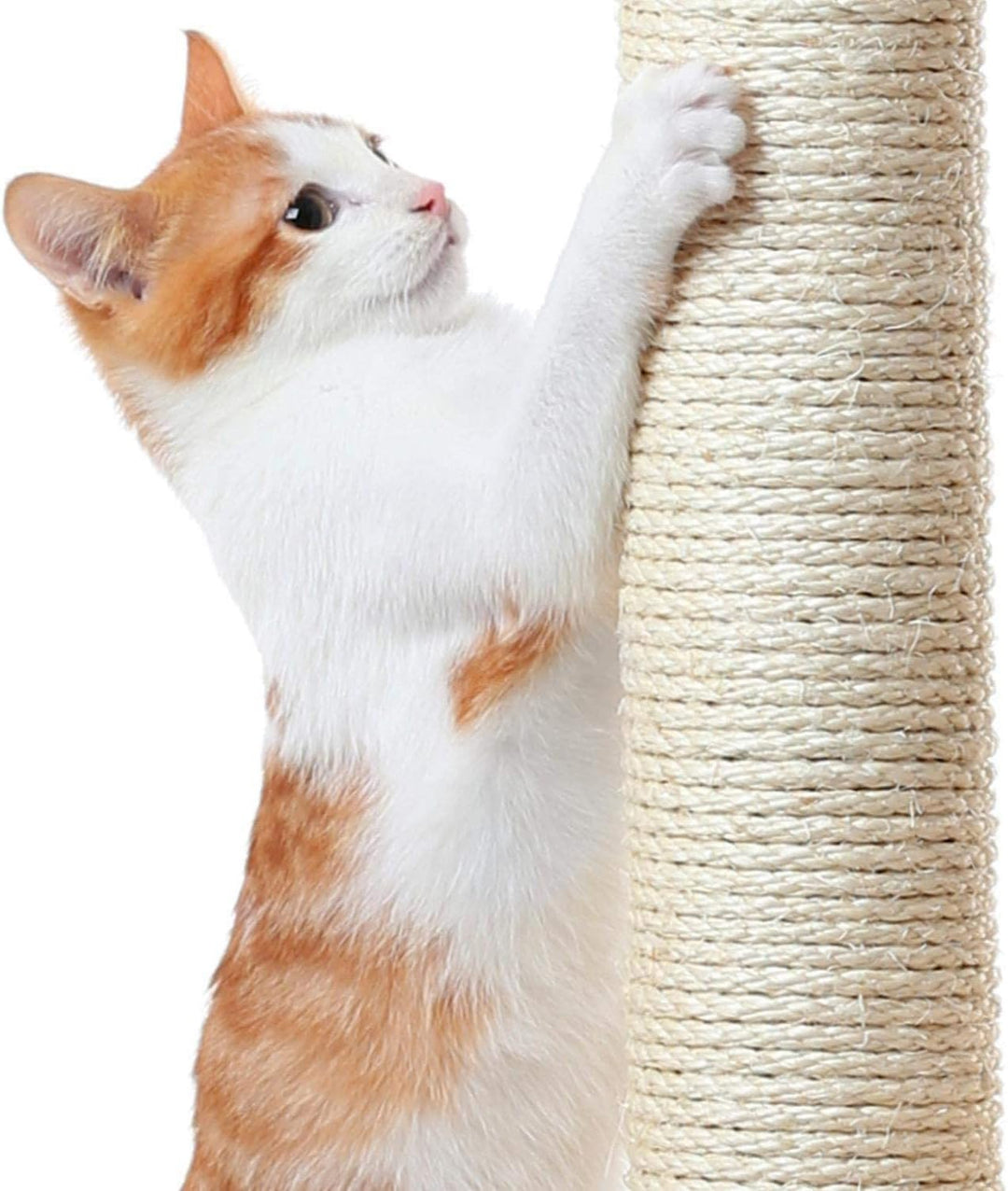 Yaheetech XXL Katzenkratzbaum 175 cm deckenhoch Kratzbaum für 3-4 Katzen, Stabil Kletterbaum mit Sis