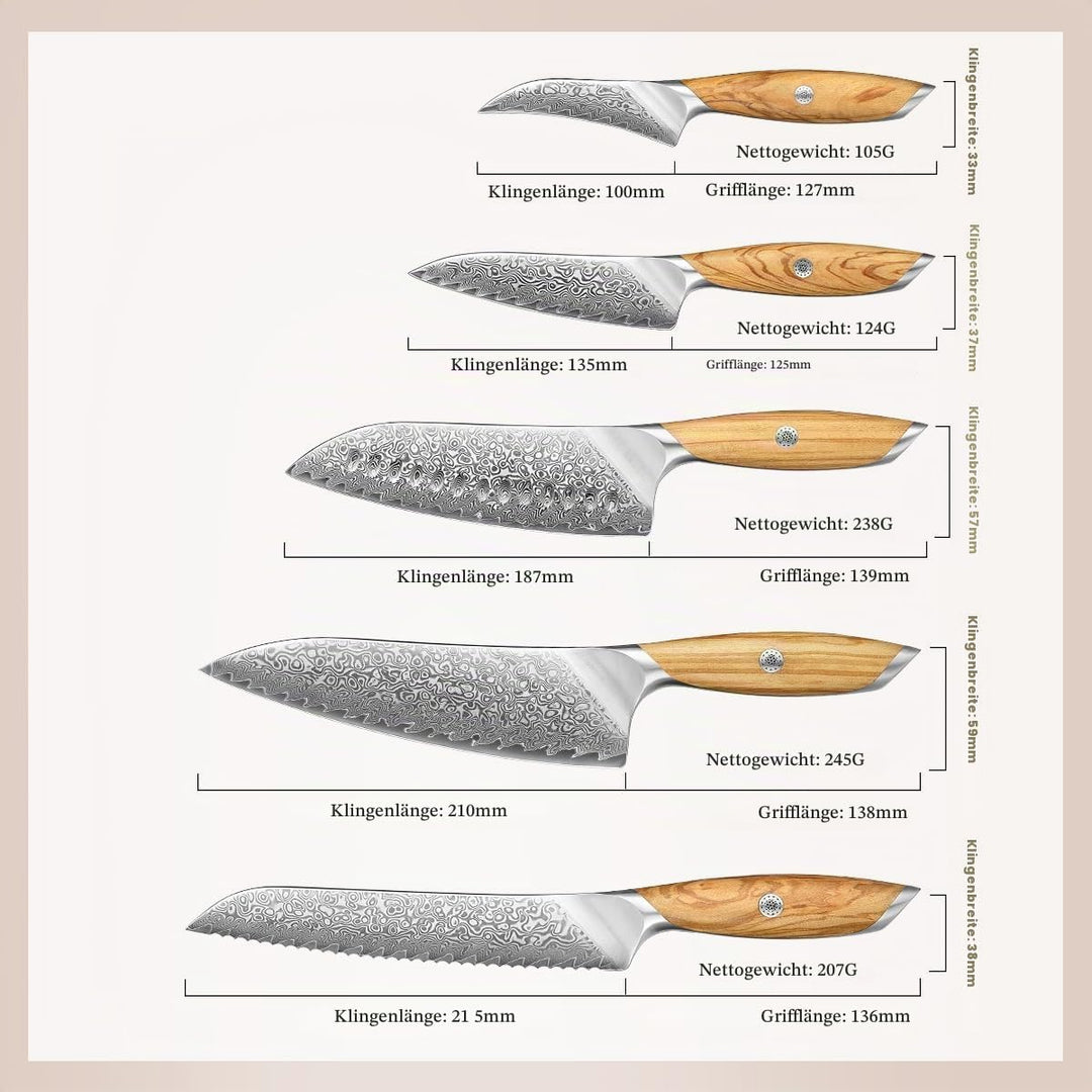 HEZHEN Damast Küchenmesser Set 5-Teilig, Professionelles Damaszener Stahl Kochmesser Set Santoku Mes