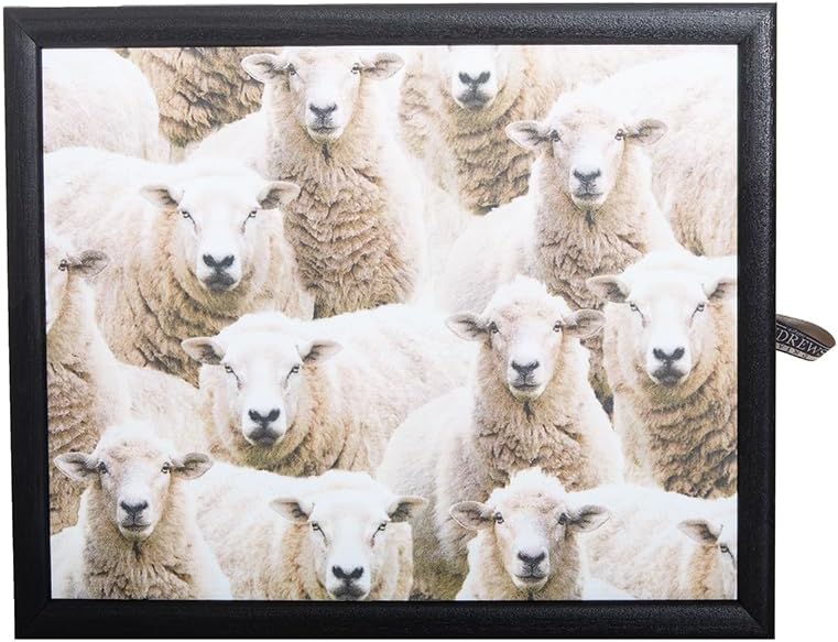 Andrews Knietablett Sheep (Schwarz), Schwarz