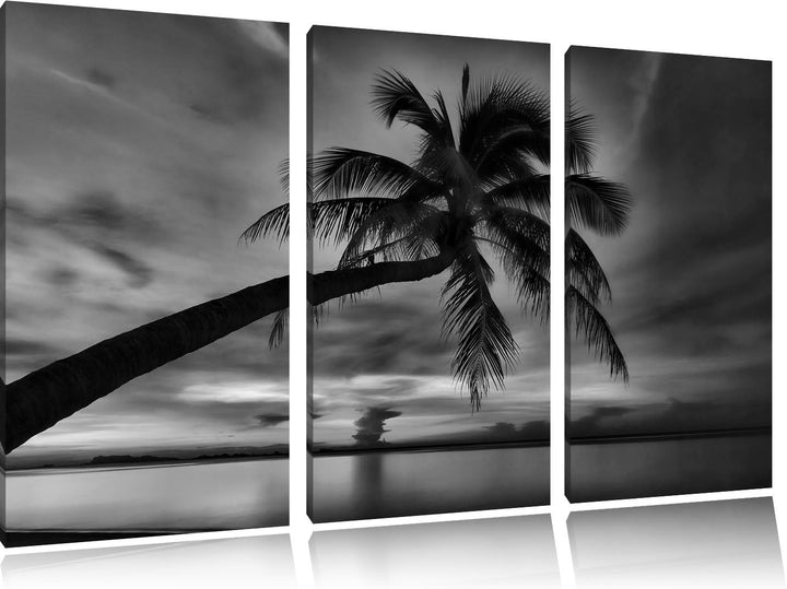 Pixxprint Monocrome, Palme am Meer mit Sonnenuntergang 3-Teiler Leinwandbild 120x80 Bild auf Leinwan