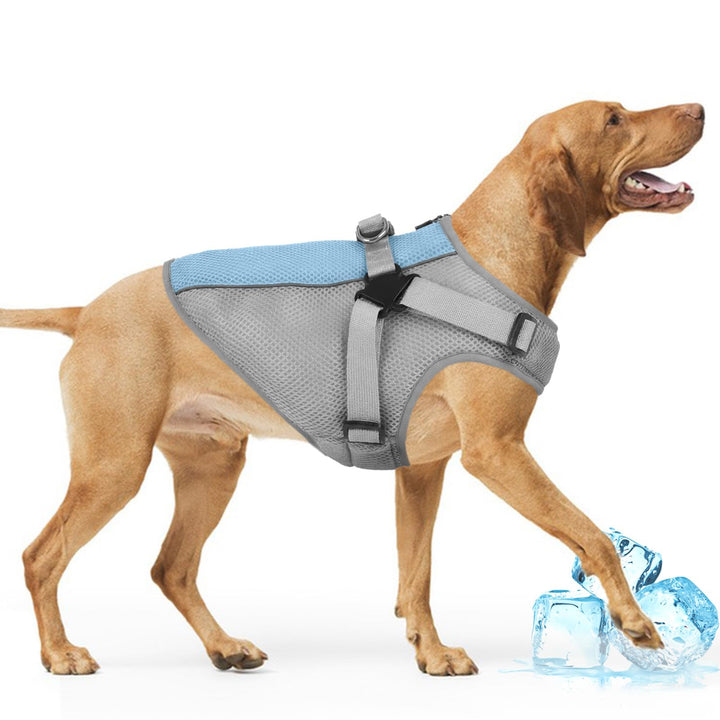 Kühljacke Hund mit Geschirr, Atmungsaktiv Hundekühlweste Kühlendes Hundegeschirr Dog Cooling Vest, H
