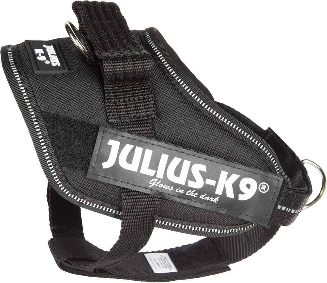 Julius-K9 16IDC-PBGHS-MM IDC Powergeschirr, Hundegeschirr mit Front Control Y-Gurt, Grösse: Mini-Min