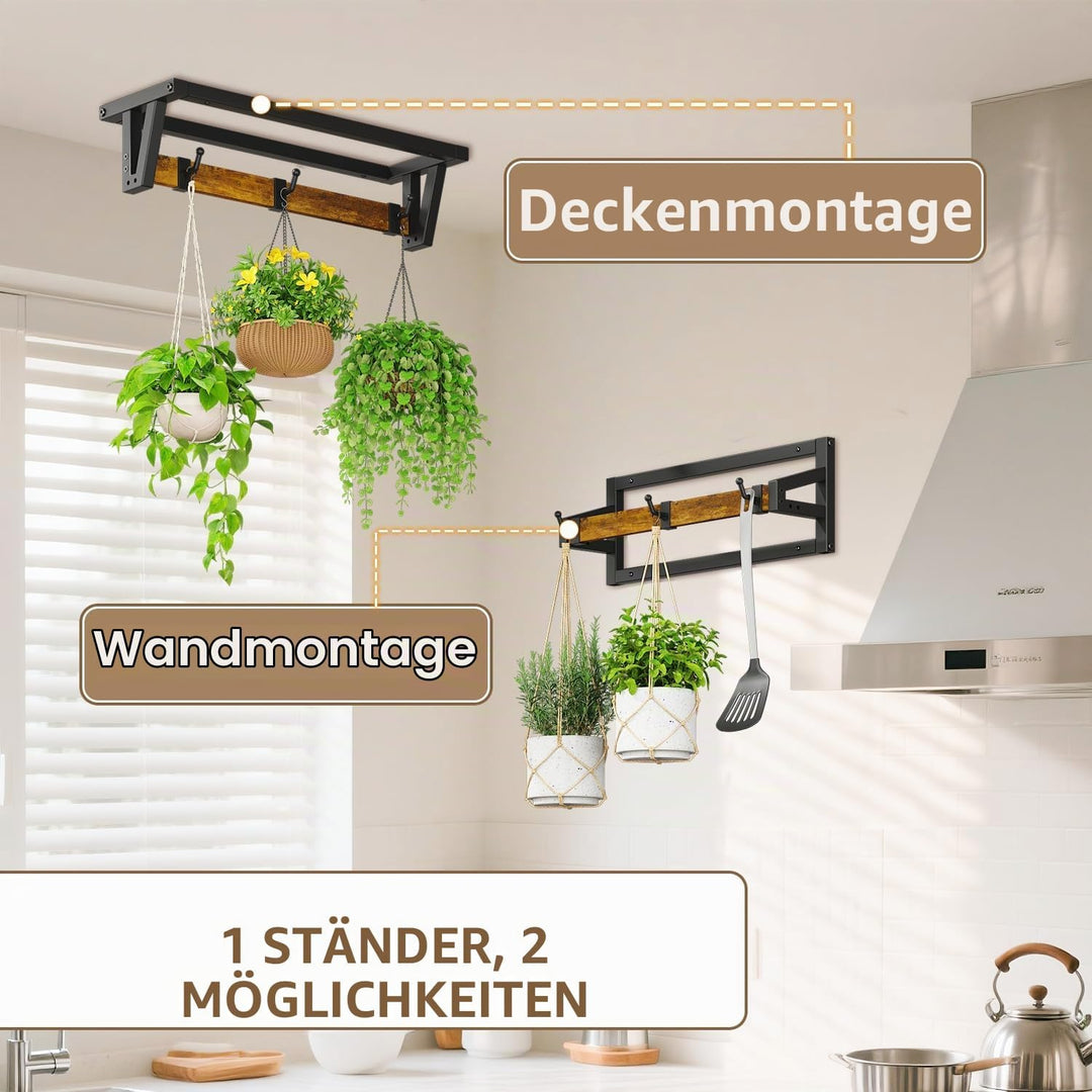 LASZOLA Pack of 2 Plant Stands, Plant Holder Wall with 6 Hanging Hooks, Plant Shelf, Plant Wall Moun