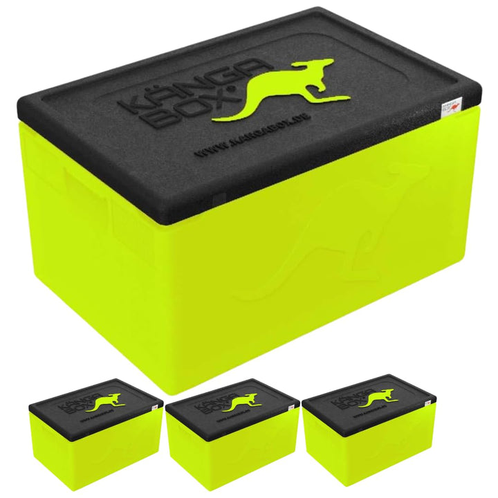 Professional Thermobox & Kühlbox GN 1/1 48L Standardgriff – Patentierte Glatte Innenfläche – Top Iso