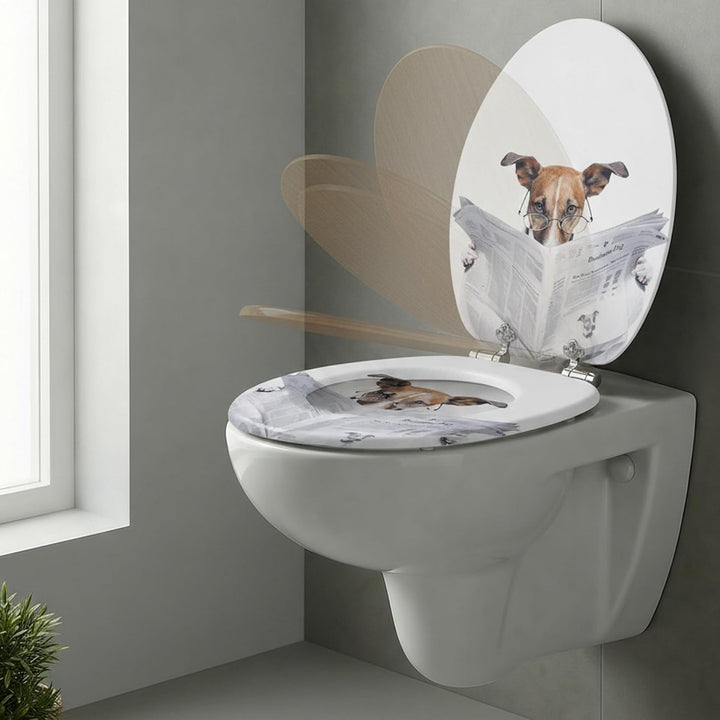 SINOBATH Premium WC Sitz mit Absenkautomatik – hochwertige Toilettendeckel aus Holz, viele bunte Mot
