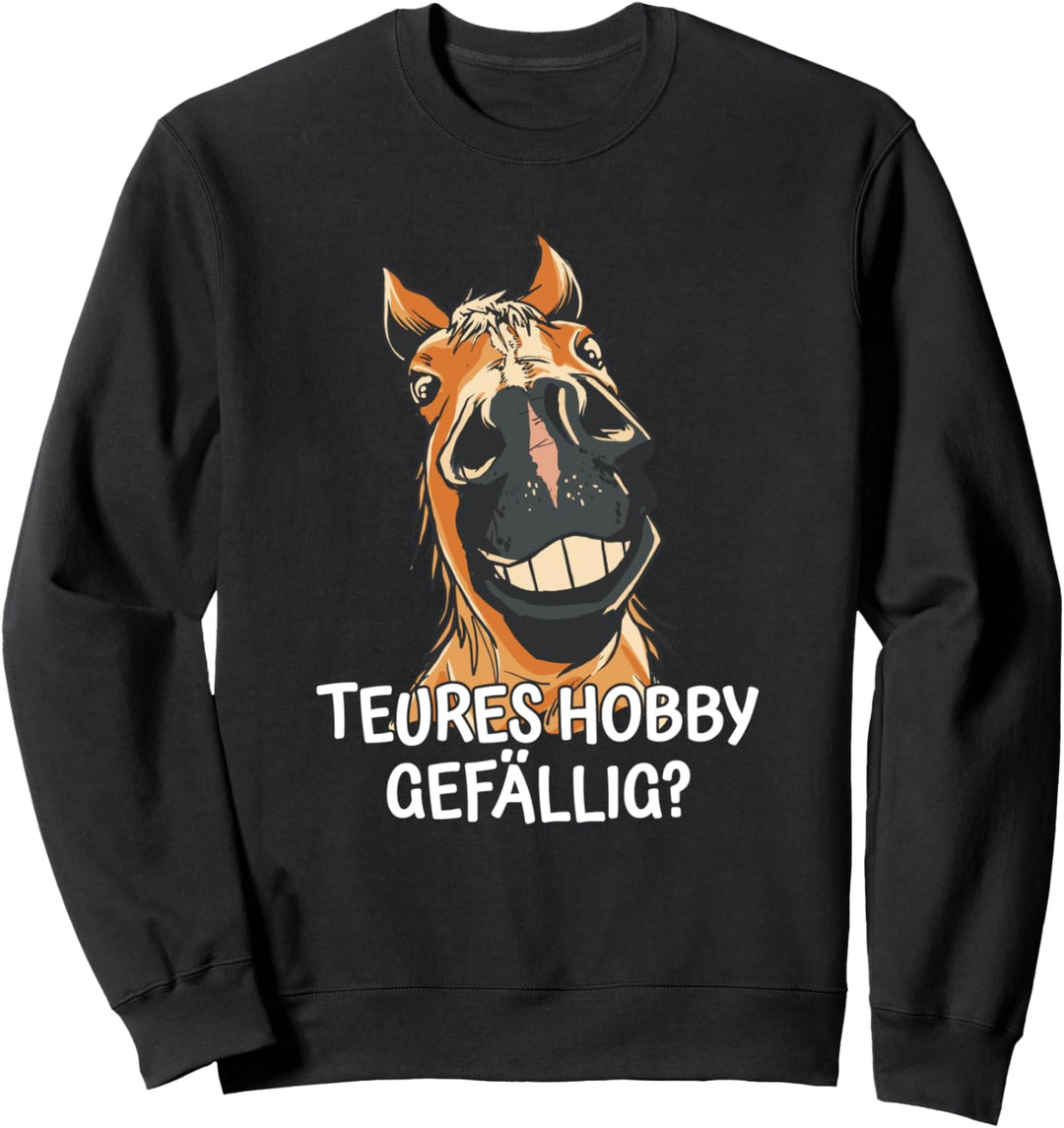 Teures Hobby Gefällig Sweatshirt