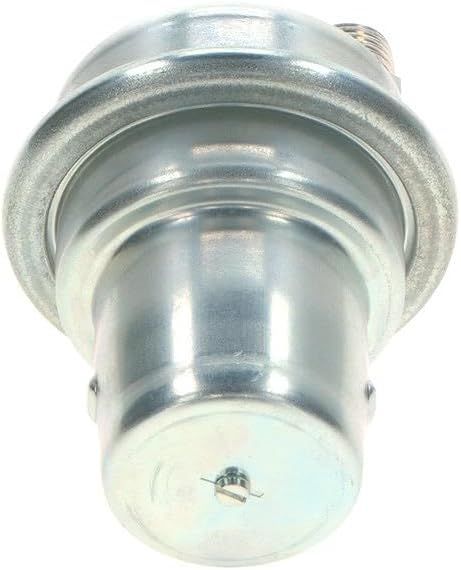 BOSCH Druckspeicher für Kraftstoffdruck, 0 438 170 061