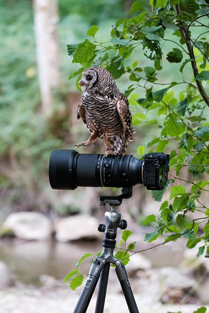 TAMRON 150-500mm F/5-6.7 Di III VC VXD, Objektiv für Fujifilm X-Mount, A057X, schwarz