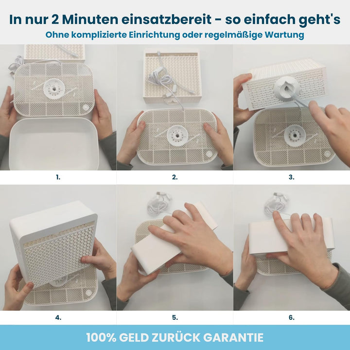 Salino Mini-Saline Vita – Stylischer Salzluft-Befeuchter für Zuhause, gesundes Raumklima, natürliche