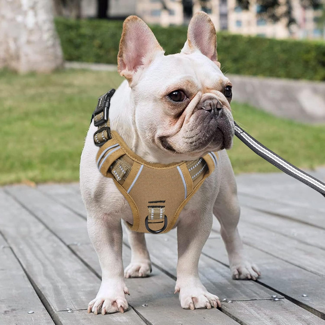 HEELE Hundegeschirr, Hundegeschirr Welpen Verstellbar Geschirr Hund Brustgeschirr Reflektierend Atmu