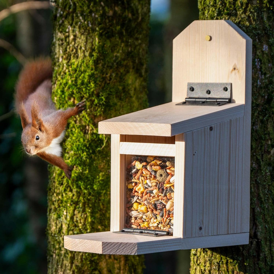 dobar® Eichhörnchen Futterstation - Eichhörnchen Futterhaus mit Acrylglasscheibe - Futterstelle mit
