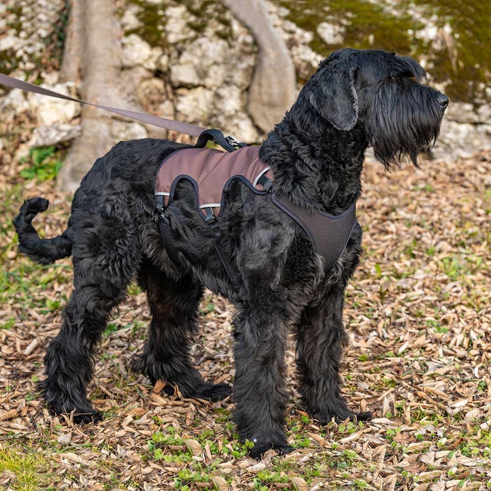 Ferplast Ergonomisches Hundegeschirr Grosse Hunde ERGOTREKKING Small, Geschirr Hund Sechs Verschlüss