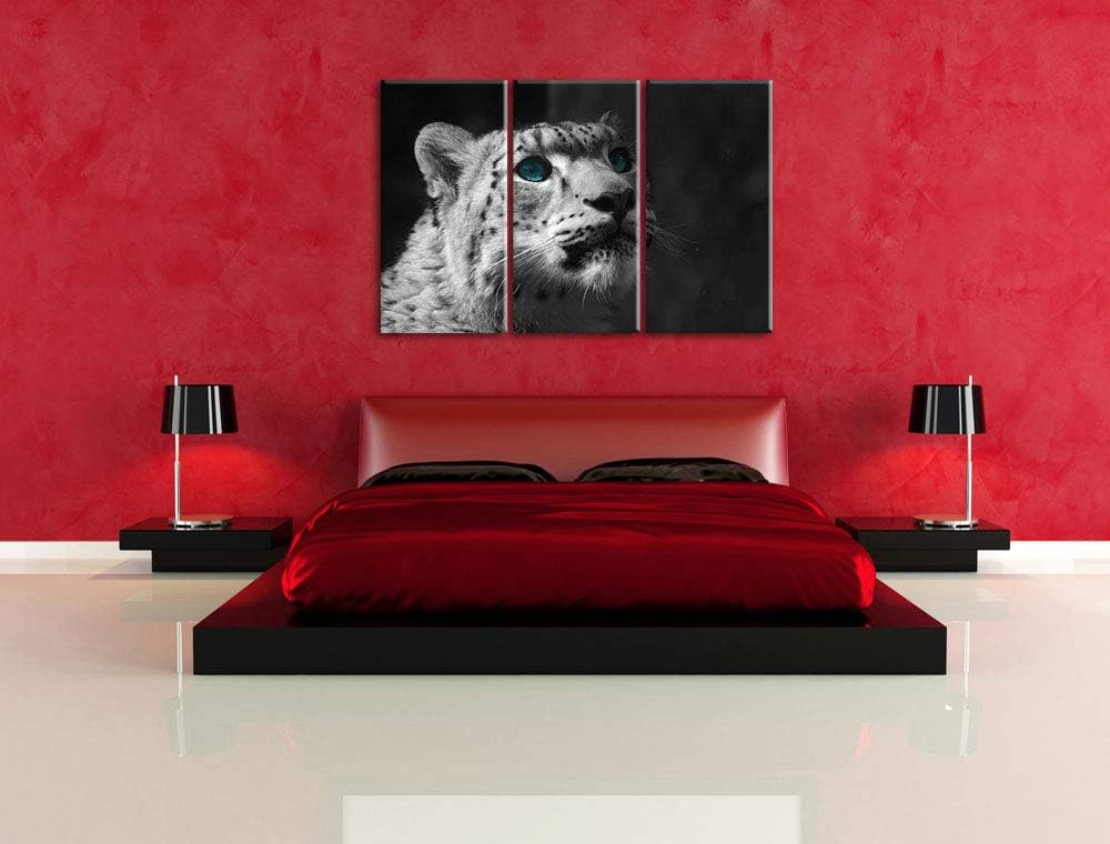Anmutiger Schneeleopard Blaue Augen schwarz/weiss 3-Teiler Leinwandbild 120x80 Bild auf Leinwand, XX