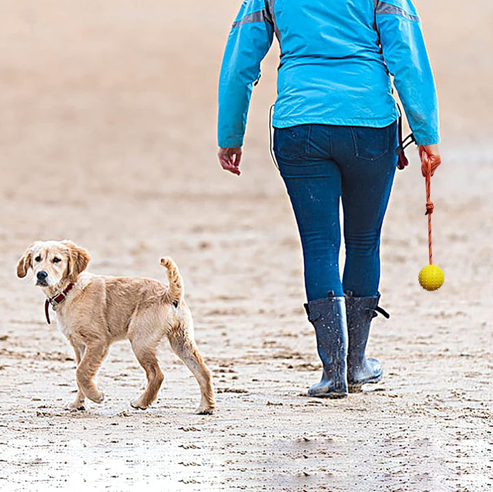2Pcs Ball am Seil für Hunde und Katzen，trainingsball mit Seil,Hohlkugel aus Naturgummi Für Apportier