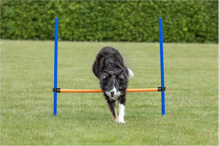Trixie 3207 Dog Activity Agility Hürde, 123 × 115 × ø 3 cm, blau/orange