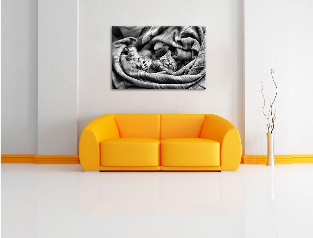 Monocrome, Babykatze, Format: 100x70 auf Leinwand, XXL riesige Bilder fertig gerahmt mit Keilrahmen,