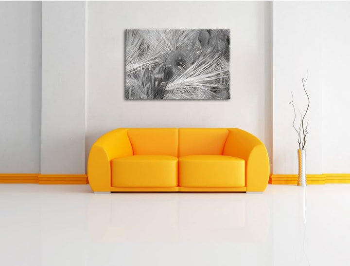 Pixxprint Mohnblumen auf dem Mais-Feld als Leinwandbild/Grösse: 100x70 / Wandbild/Kunstdruck/fertig