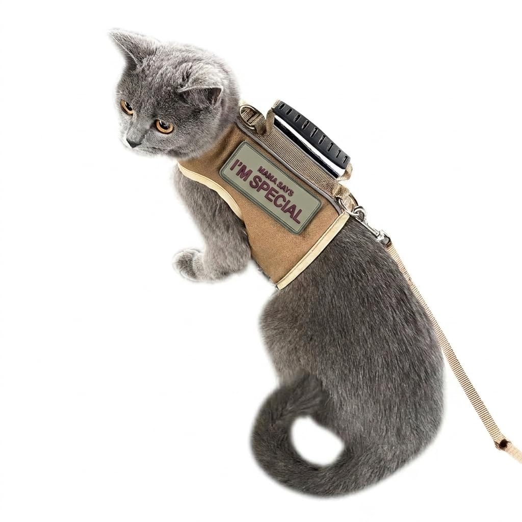 Taktisches Katzengeschirr und Leine zum Spazierengehen, ausbruchsicher, verstellbare Katzen-Spazierg