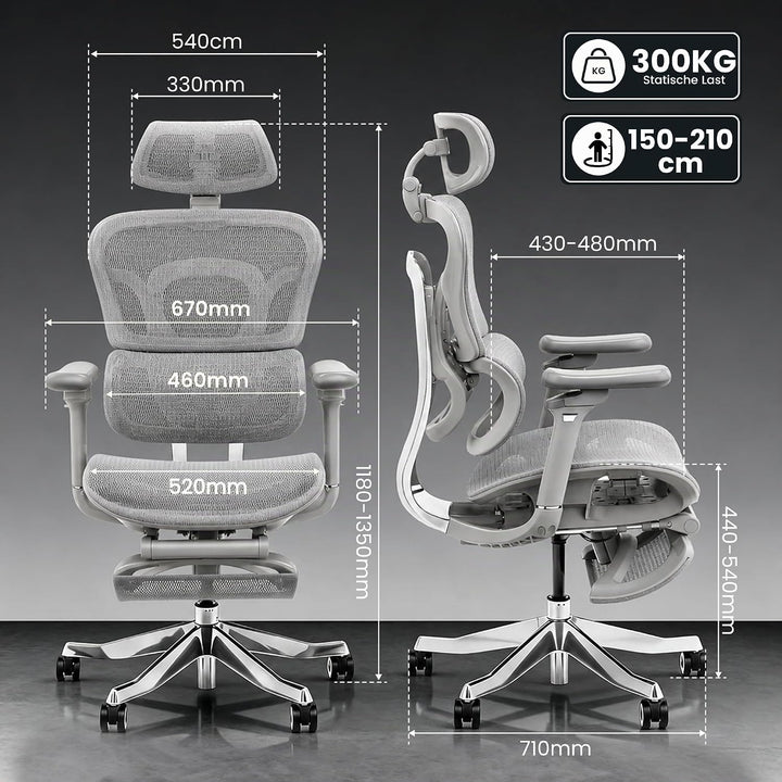 FLEXISPOT Ergonomischer Bürostuhl ErgoX Max Grau M2 (Grau) ErgoX ErgoX Max, M2 (Grau) ErgoX ErgoX Ma