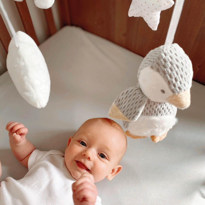 Nuby Kinderbett-Mobile für Babys mit verstellbarem Arm, geeignet für alle Babybetten. Süsse Plüschfi