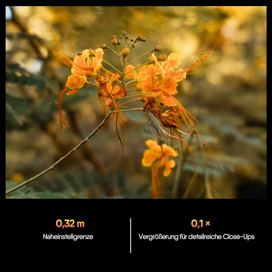 Rollei AF 24 mm F/1.8 Vollformat Objektiv für Sony FE mit STM-Autofokus | Vollmetall Gehäuse 477g Ko