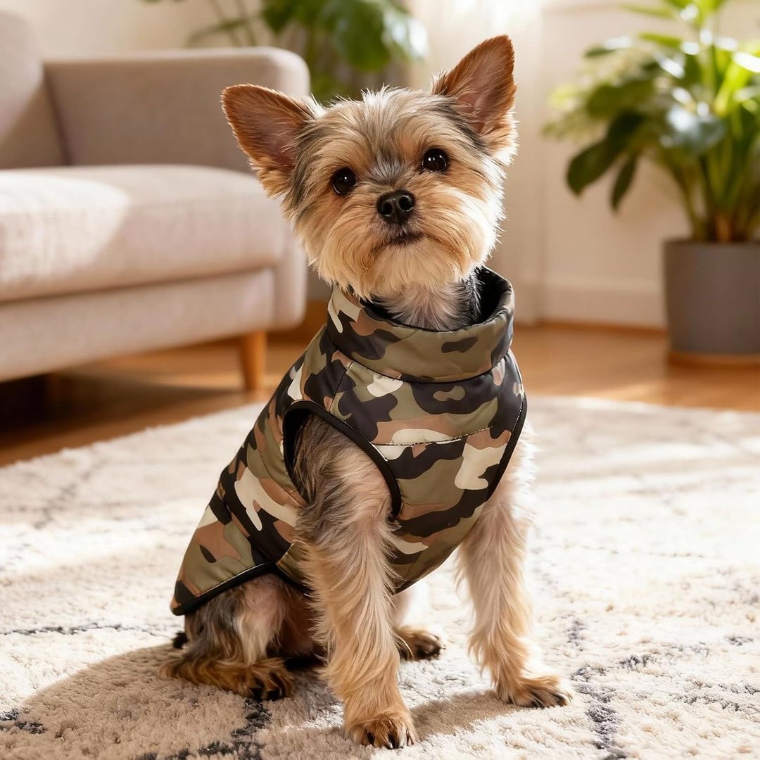 Hundemantel Winter Hundejacke Warme Hundemantel für Kleine Hunde Winddichte Hundeweste mit Geschirr