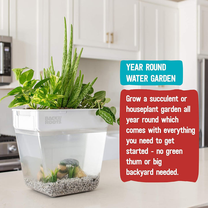 Back to the Roots Hydrokultur-Garten für den Innenbereich, selbstbewässernder, schmutzfreier Übertop