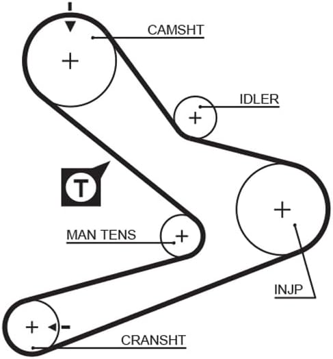 GATES Steuerriem 5495XS