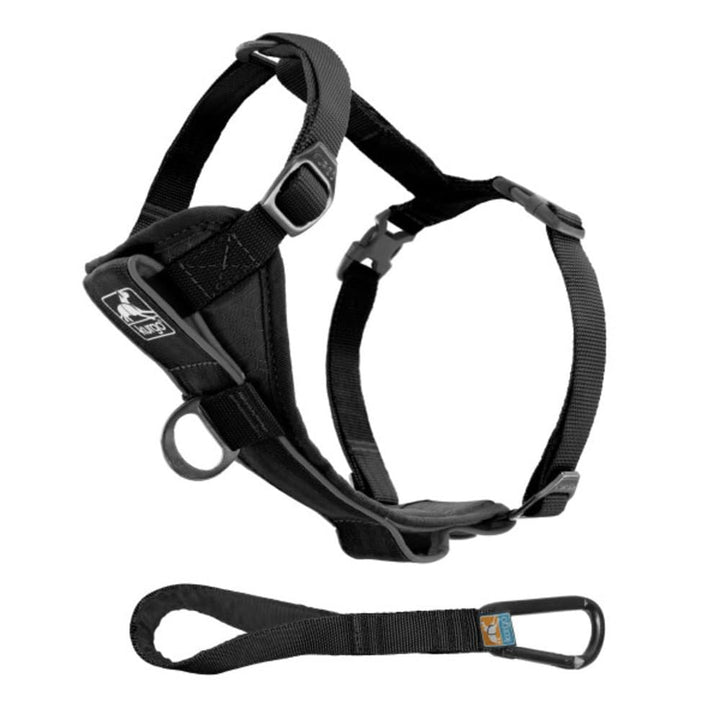 Kurgo Tru-Fit Smart Hundegeschirr, Mit gepolstertem Brustteil und D-Ring, Inklusive Autosicherheitsg