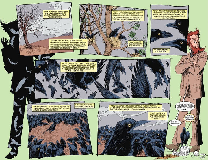 The Sandman Book Three (The Sandman, 3), Taschenbuch