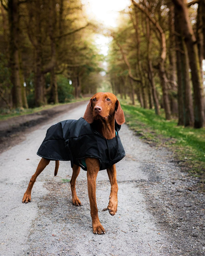 Danish Designs Black Harness 2 in 1 Utmost Hundemantel, 50 cm (20 Zoll)