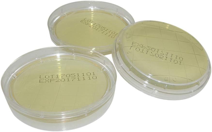 iplusmile Agar Platten Prepoured R2A Agar Platten mit Einweg Vakuum Verpackung Wissenschaft Experime