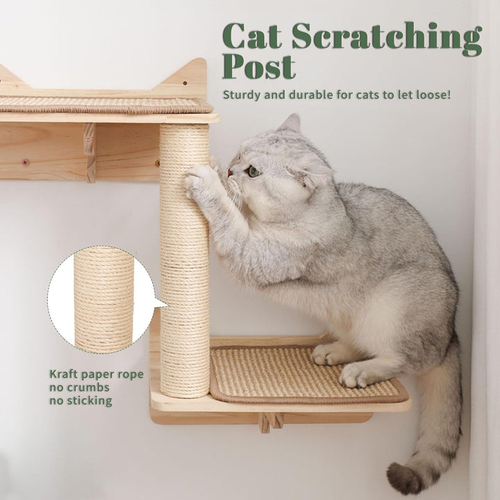 Set von Wandregalen für Katzen, mit Haus, Sisal-Kratzbaum, Kletterstufen, aus massivem Holz, für den