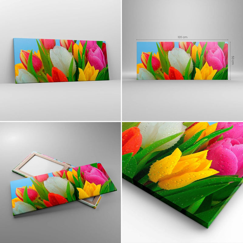 Wandbilder Dekoration Wohnzimmer Tulpen Blumenstrauss Blumen Tau Panorama Bilder auf Leinwand 120x50