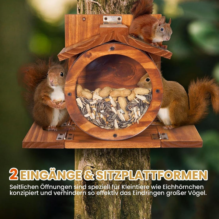 Eichhörnchen Futterhaus Wetterfes mit Runden Transparentes, Futterstationen für Eichhörnchen, 2 Eing
