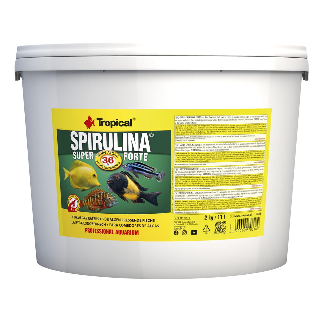 Tropical Super Spirulina Forte Flockenfutter mit 36% Spirulina (Platensis) Anteil, 1er Pack (1 x 11