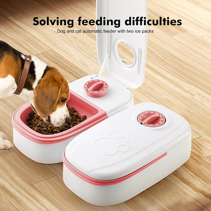 Futterautomat Katze Nassfutter, 2 Mahlzeiten Katzenfutter Automat Katzen Futterautomat mit 48 Stunde