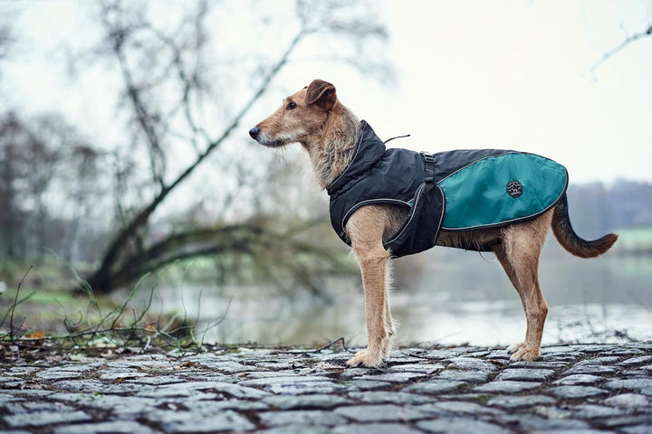 Hunter UPPSALA ALLROUNDER Hundemantel, 2-in1, herausknöpfbares Fleece-Futter, wasserabweisend, 35, a