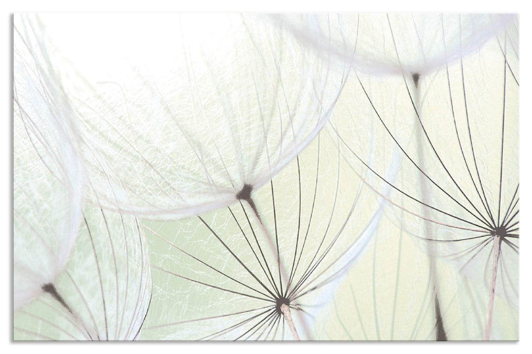ARTland Spritzschutz Küche aus Alu für Herd Spüle 100x65 cm (BxH) Küchenrückwand mit Motiv Blume Pus