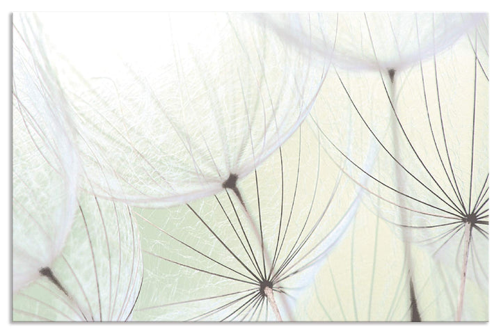 ARTland Spritzschutz Küche aus Alu für Herd Spüle 100x65 cm (BxH) Küchenrückwand mit Motiv Blume Pus