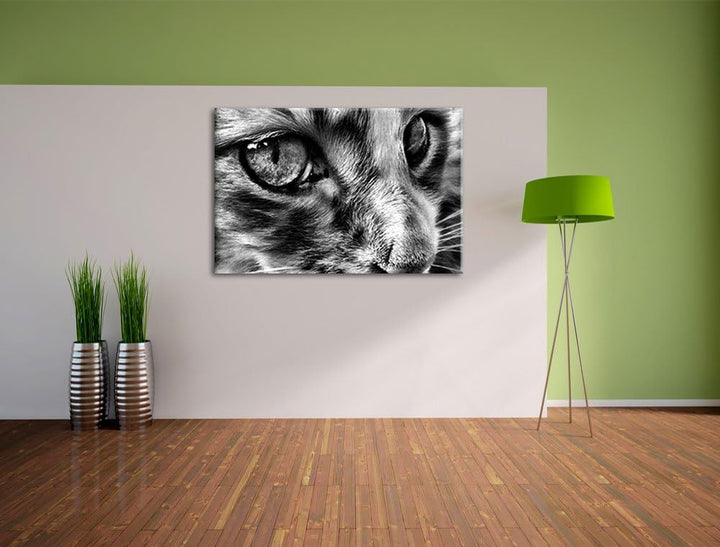 Pixxprint kleine Katze im Seitenprofil als Leinwandbild/Grösse: 100x70 / Wandbild/Kunstdruck/fertig