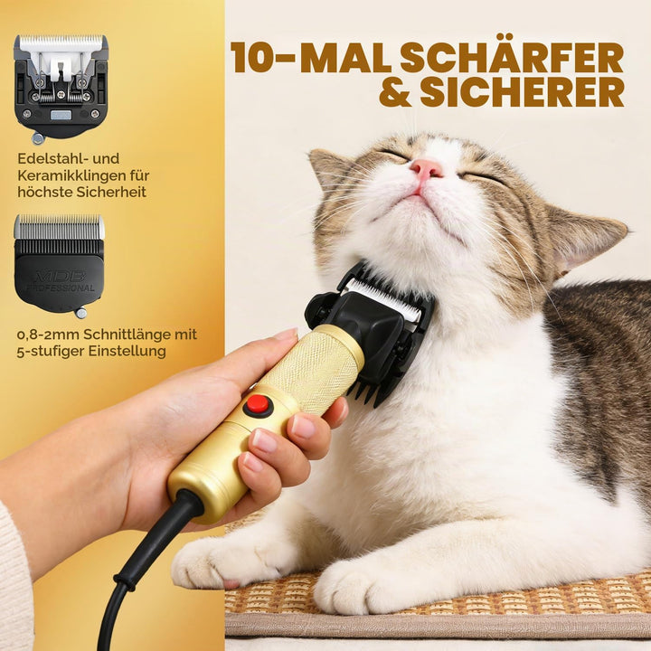 CGOLDENWALL Leise Hundeschermaschine Profi 280W, 2000-6000U/min Stufenlose Geschw.,, Gold