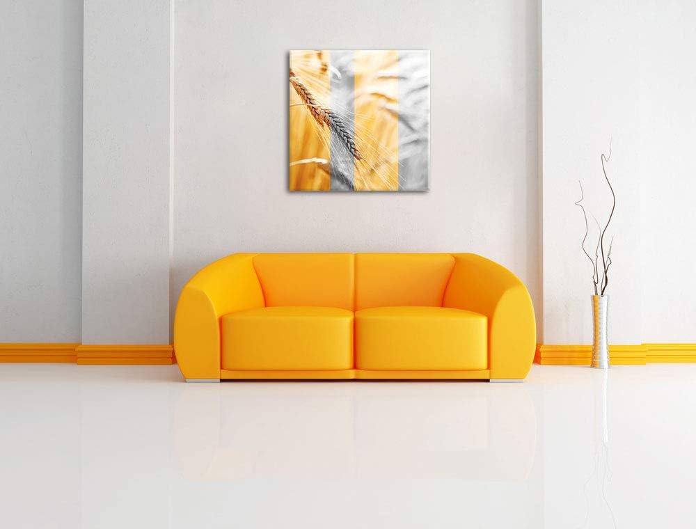 Pixxprint Weizen schwarzweiss als Leinwandbild/Grösse: 70x70 cm/Wandbild/Kunstdruck/fertig bespannt,